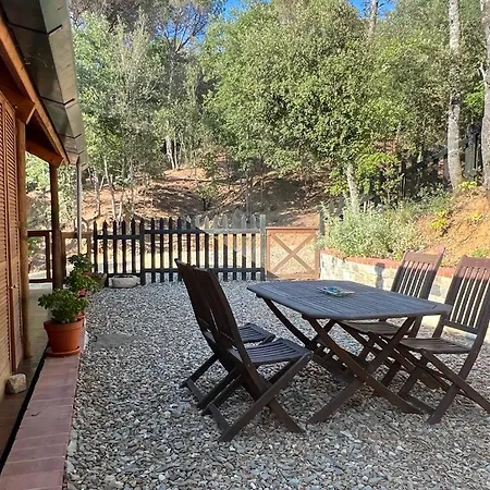 Rustic In The Woods/cabana En El Bosque Chalet Amer