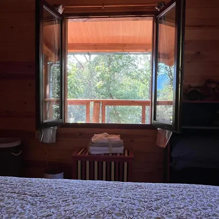 Rustic In The Woods/cabana En El Bosque * Amer
