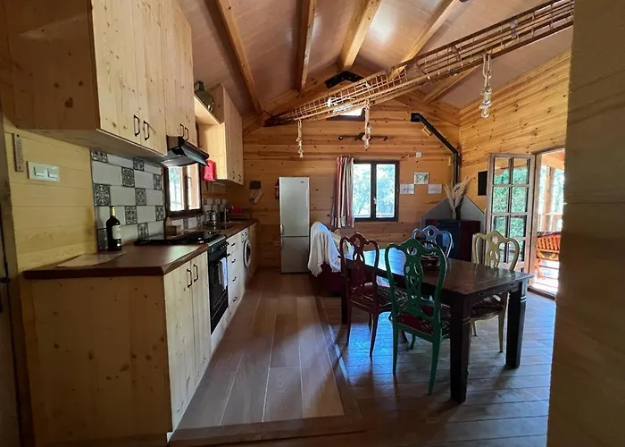 Chalet Rustic In The Woods/cabaña En El Bosque